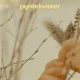 pyntekvister