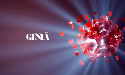giniä
