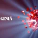 giniä