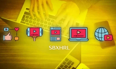 Everything About SBXHRL